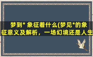 梦到* 象征着什么(梦见*的象征意义及解析，一场幻境还是人生启示？)